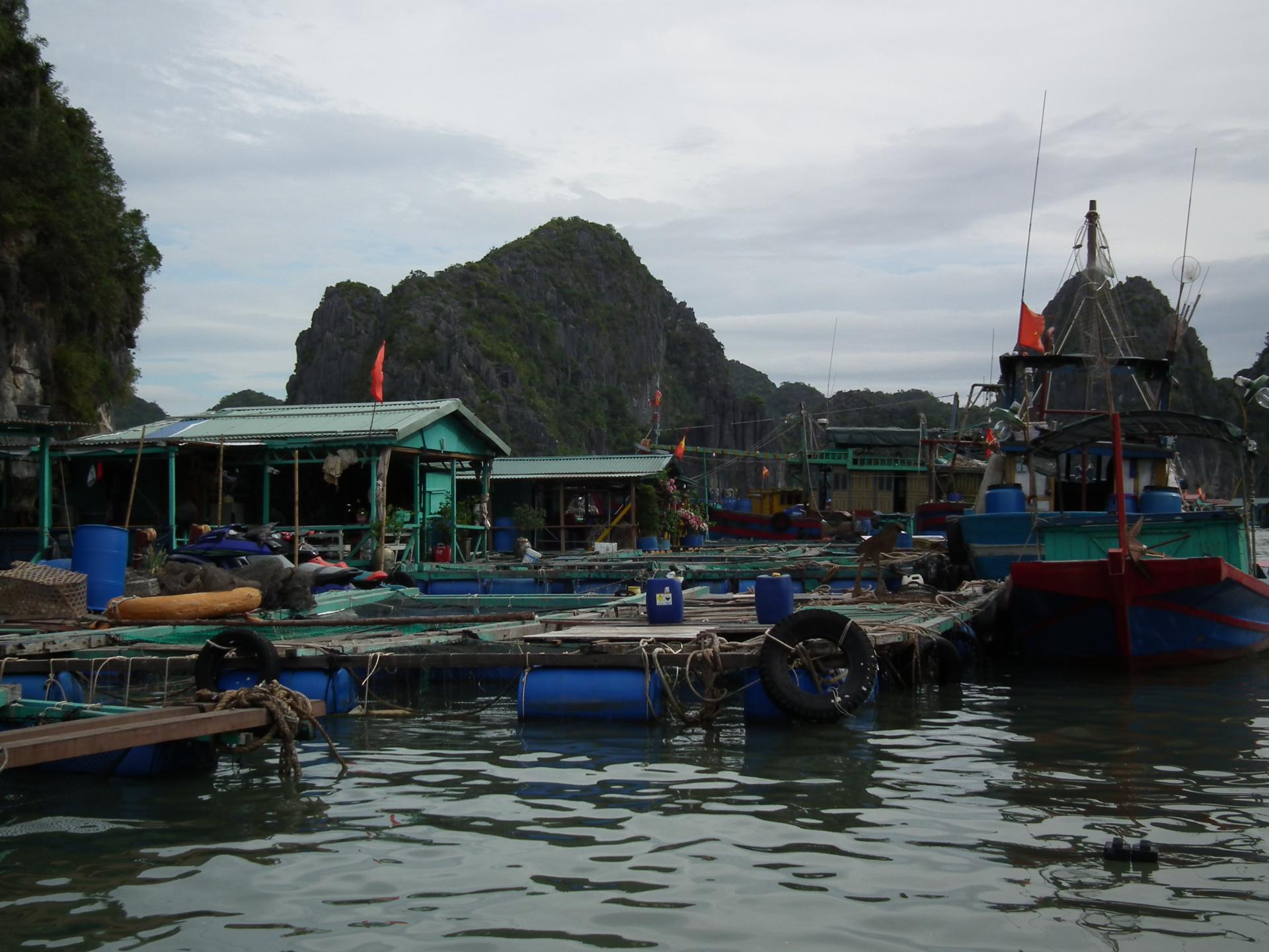 Cat Ba Climbing